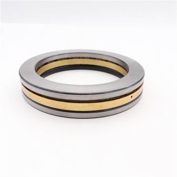 Scheerer RU-228-106 Thrust Bearings