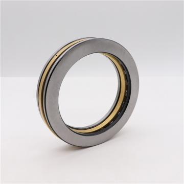 Scheerer TB-8019 Thrust Bearings